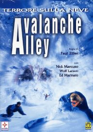 Avalanche-alley