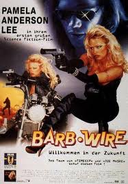 BarbWire