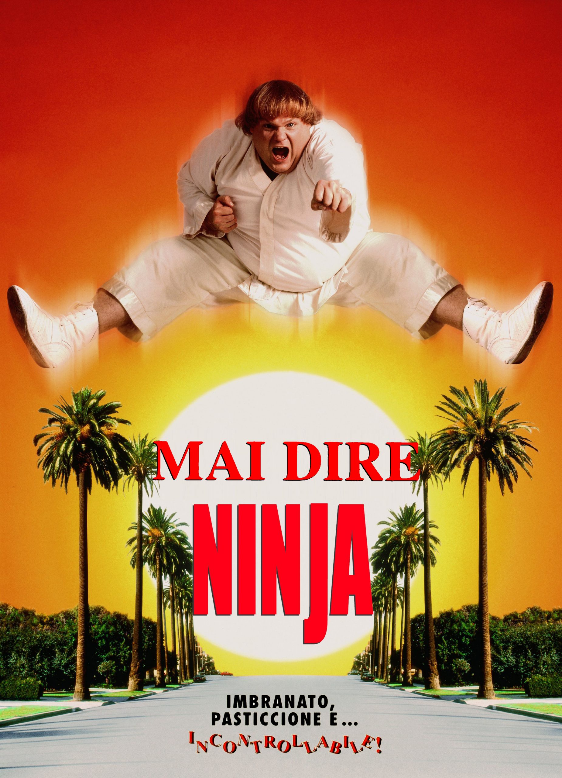 Mai dire ninja