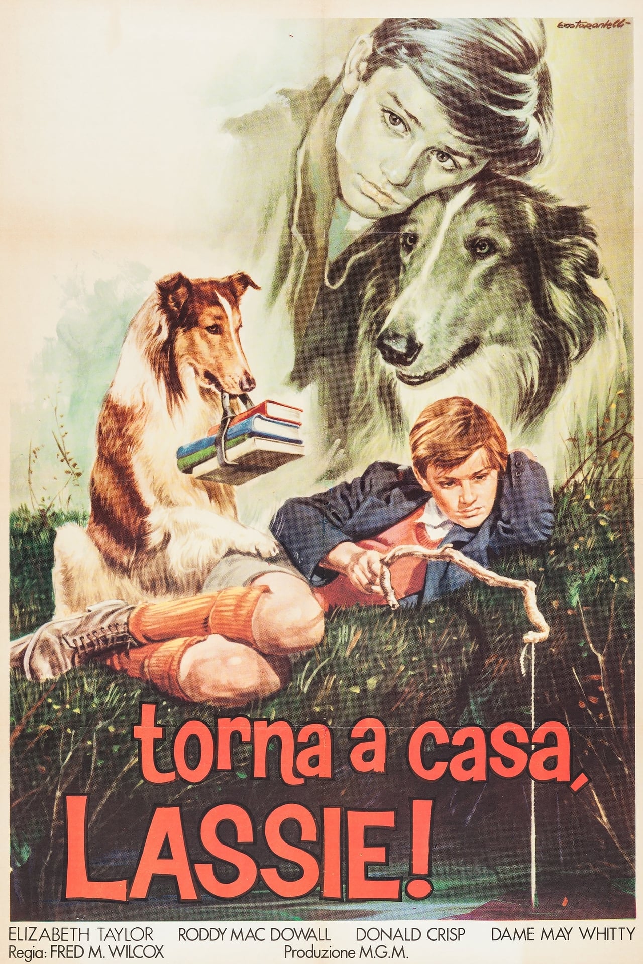 Torna a casa, Lassie!