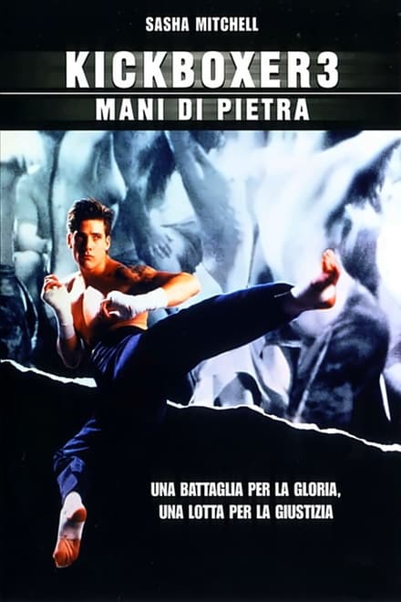 Kickboxer 3 – Mani di pietra