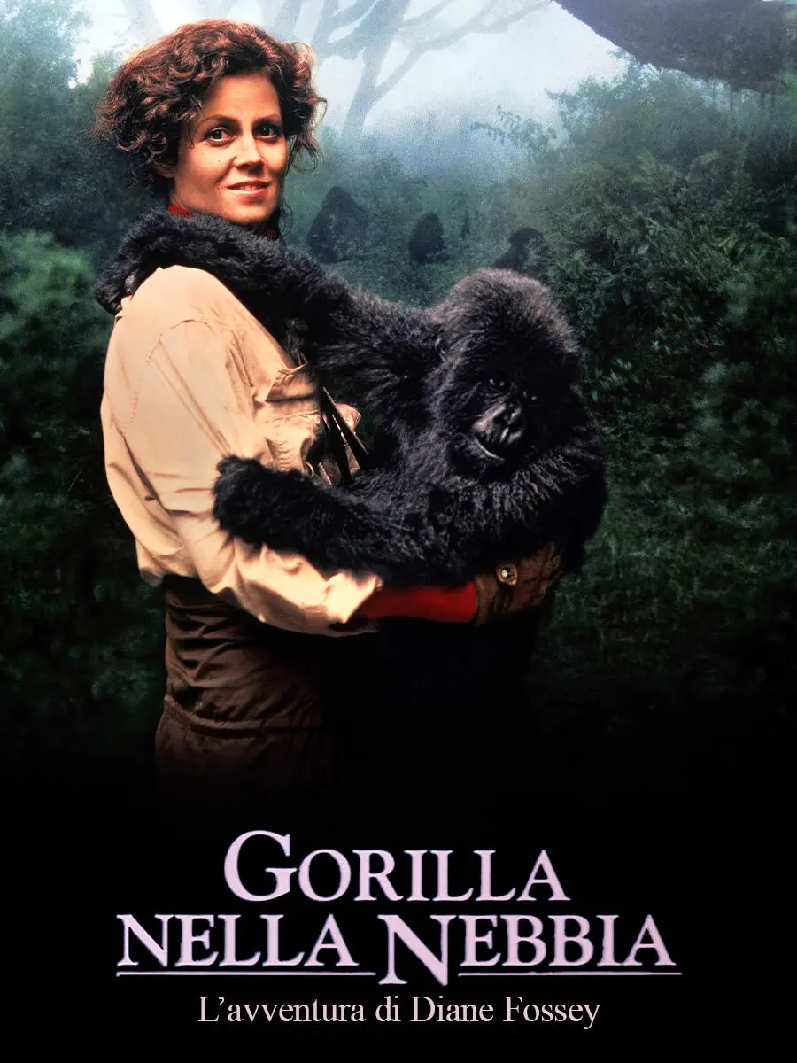 Gorilla nella nebbia