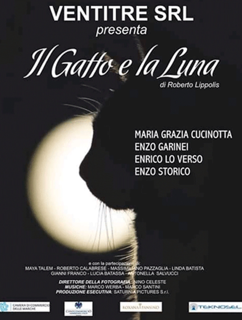 Il gatto e la luna