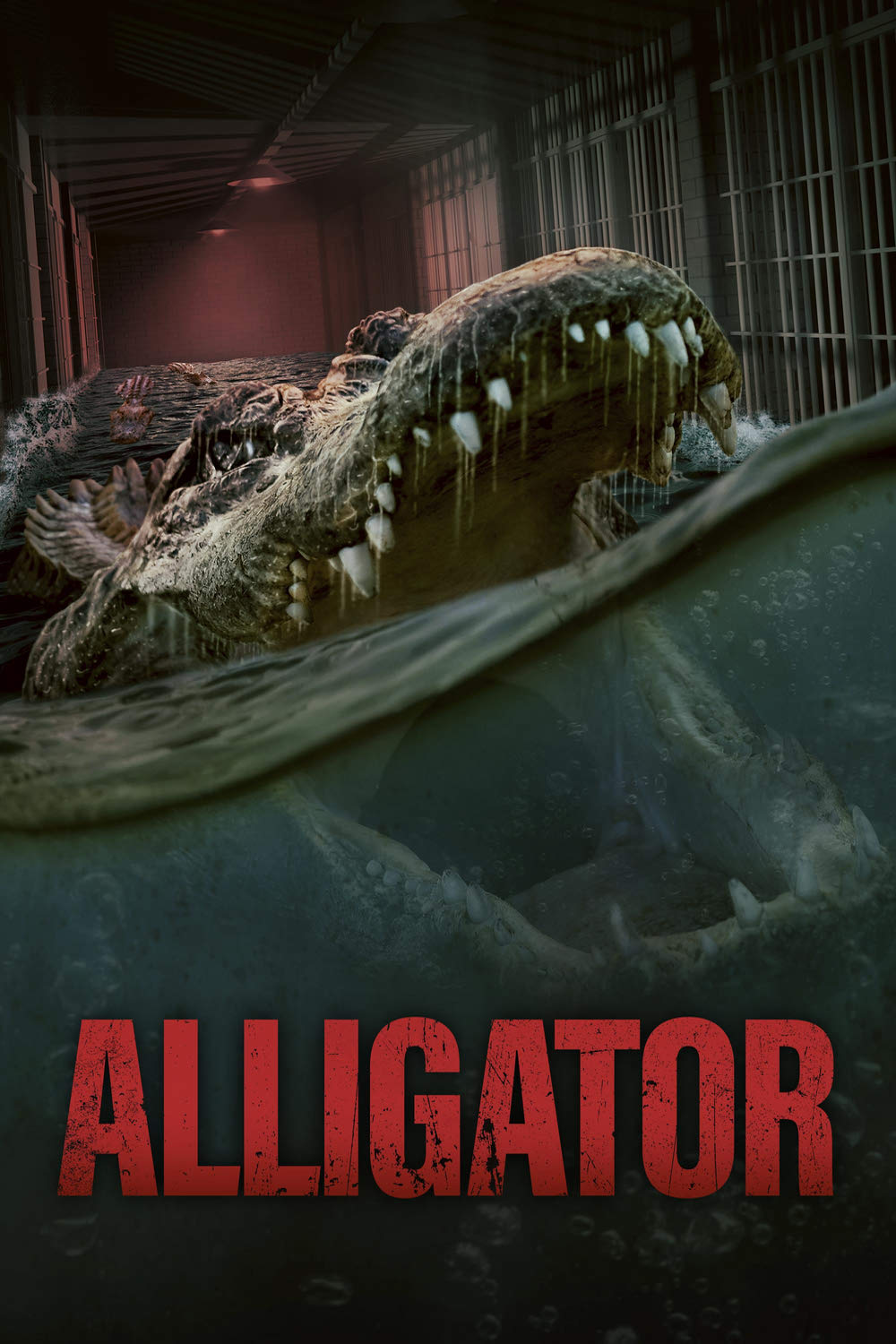 Alligator – The flood